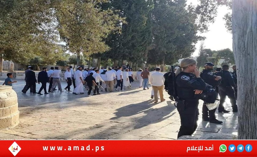 وزراء خارجية دول عربية وإسلامية يدينون التصعيد الإسرائيلي في المسجد الأقصى
