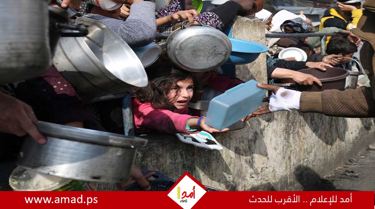"أوتشا": 10% من سكان غزة على حافة المجاعة