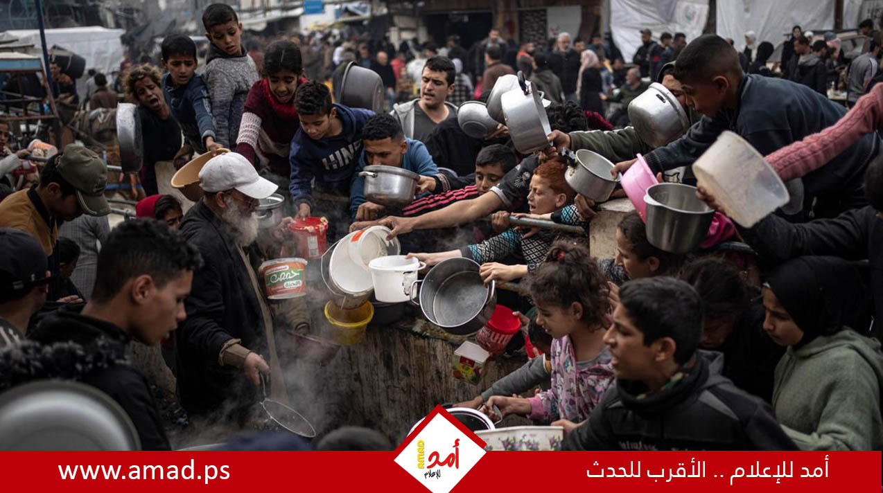 الأمم المتحدة: الأمن الغذائي تحسّن في غزة لكنه لا يزال هشّا 