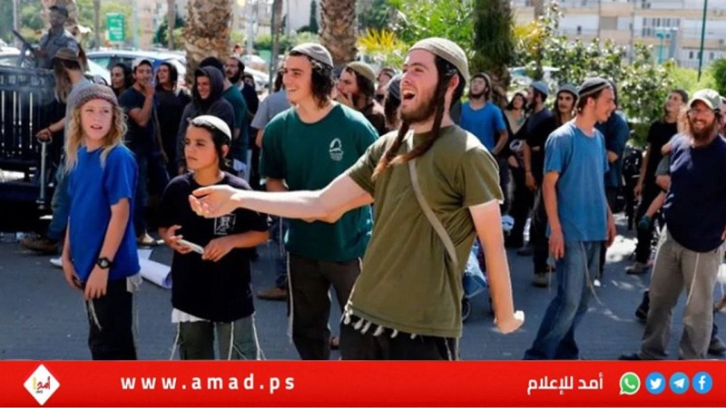  "قادة أمن إسرائيلين سابقين" برسالة لترامب: إرهاب المستوطنين مدمر ويجب منع وقوع كارثة