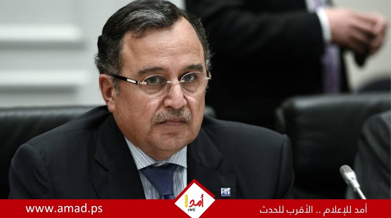 الأمين العام لجامعة الدول العربية يستنكر استهداف سفينتين في ميناء دمياط المصري