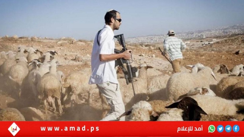 "مقاومة الجدار": 87 شهيدا على يد المستوطنين منذ 2019.. 25 شهيدا منذ مطلع العام
