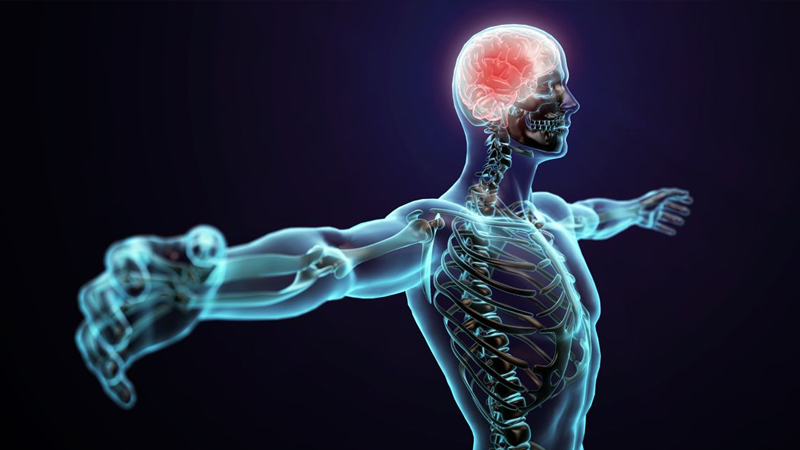  علامات تحذيرية تستدعي زيارة طبيب الأعصاب فورًا
