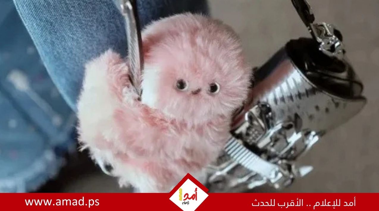 ميرومي