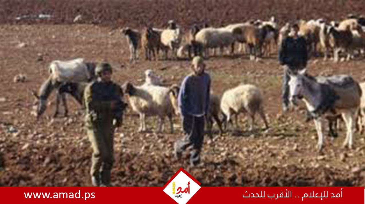  تحقيق جيش الاحتلال يرجح مقتل الجندي بنيران جنود أو مستوطنين 