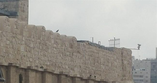 مستوطنون يضعون شمعداناً فوق المسجد الإبراهيمي بالخليل