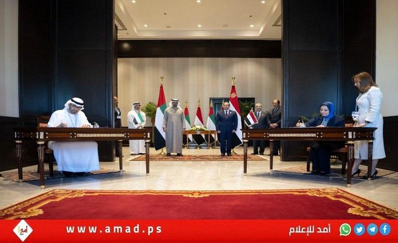 السيسي وبن زايد يوقعان اتفاقا لإنشاء أحد أكبر مشاريع "طاقة الرياح" في مصر