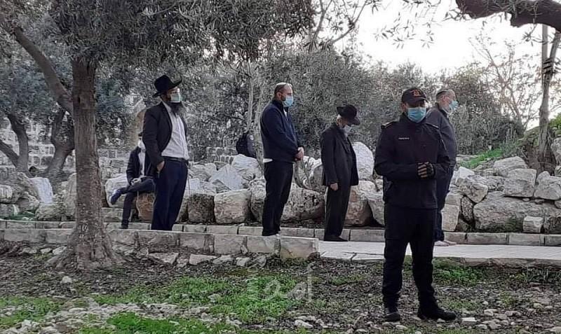 القدس: جيش الاحتلال يعتقل حارسا يعمل في دائرة الأوقاف
