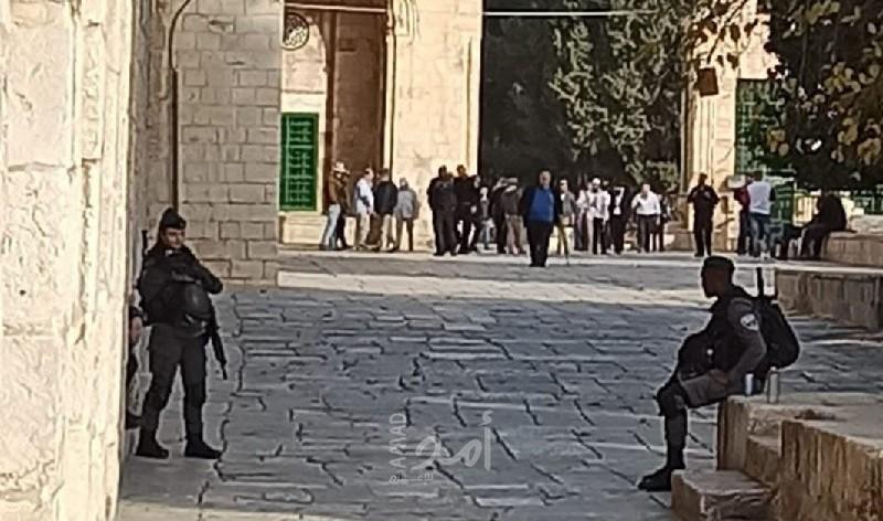 مستوطنون يقتحمون ساحات "الأقصى" في القدس- صور