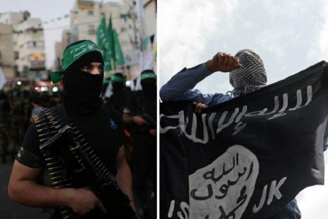 داعش في مواجهة القسام معادلة جديدة على الحدود مع مصر