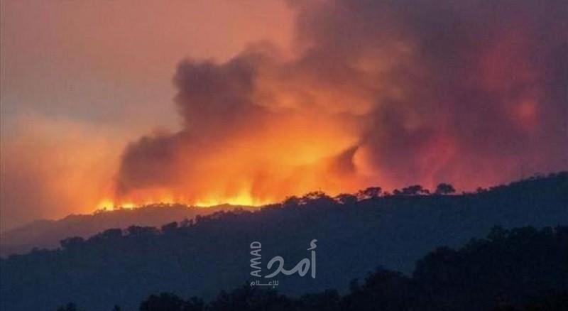 المغرب تواصل إخماد حرائق الغابات في يومها الثالث