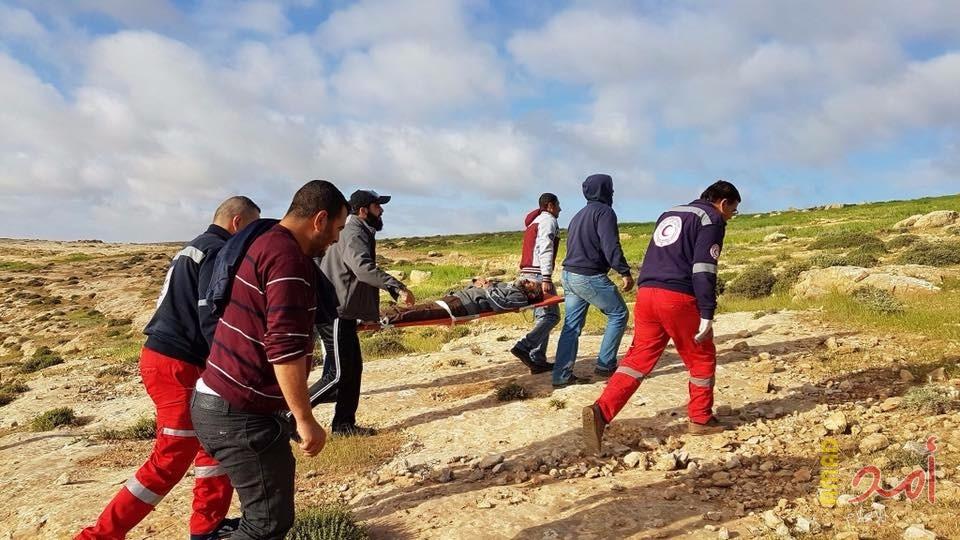 الخليل: مستوطنون يعتدون على راعي أغنام شرق يطا