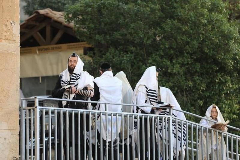 الخليل: مستوطنون يقتحمون الحرم الإبراهيمي ويؤدون طقوساً تلمودية