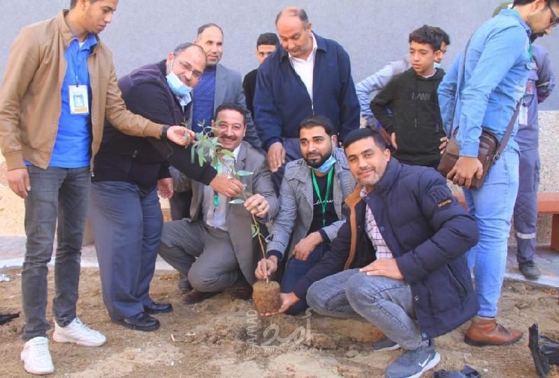 تشجير عدد من شوارع دير البلح وبلدية غزة تشرع بحملة نظافة لشاطئ البحر