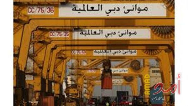 مقتل رئيس عمليات شركة موانئ دبي في الصومال
