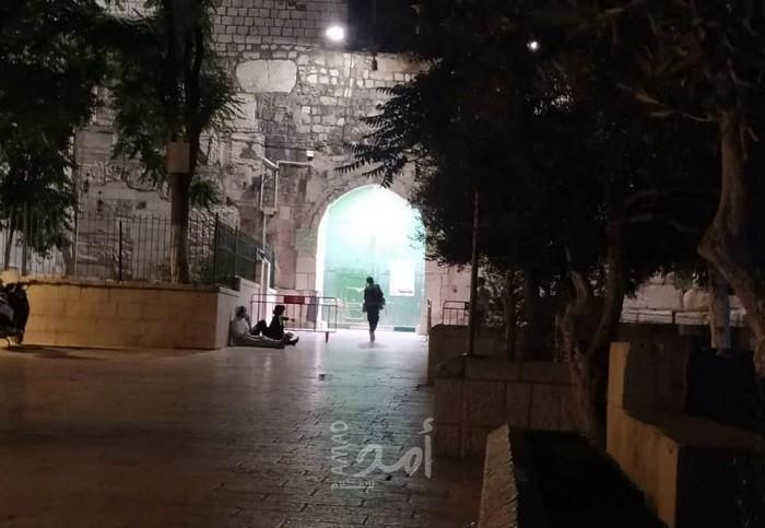 بالفيديو.. شبان يتصدون لمستوطنين حاولوا اقتحام المسجد الأقصى