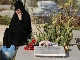 النحال : الرئيس يعد بحل مشكلة  أسر شهداء الحربين الأخيرتين خلال 48 ساعة  .