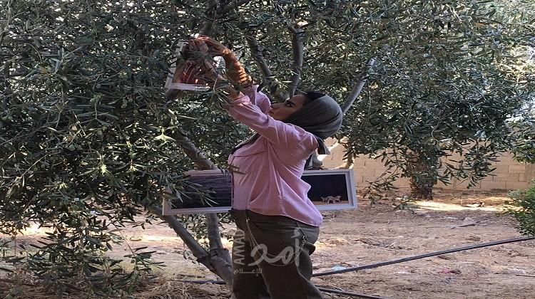 فيديو - رهاف البطنيجي .. توثق بعدستها وجه غزة المشرق
