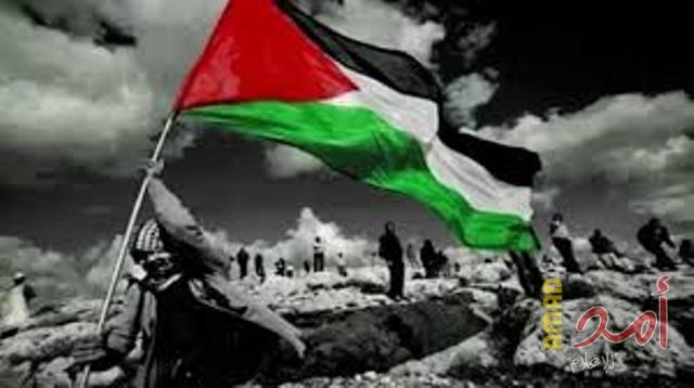 المبسوط في العرب حيوان..!