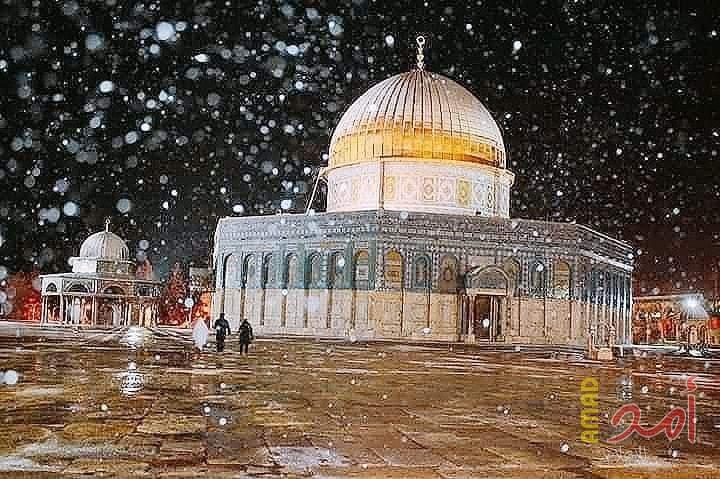 بالصور.. الثلوج تتساقط على وسط وجنوب الضفة الغربية