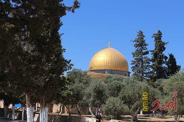 طريق القدس بعيدة (جميل السلحوت)