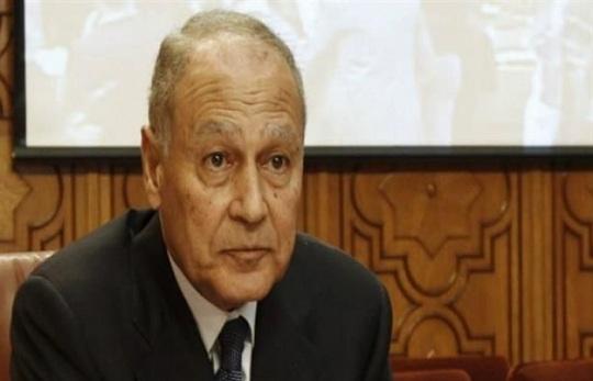 أبو الغيط يعزي الرئيس عباس بوفاة نمر حماد