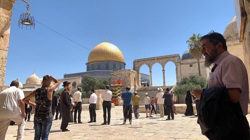القدس: (205) مستوطنين يقتحمون ساحات الأقصى