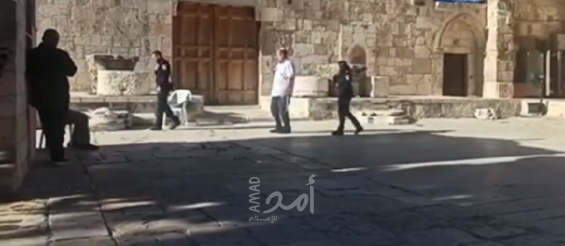 مستوطنون يقتحمون ساحات "الأقصى" بحراسةٍ مشددة
