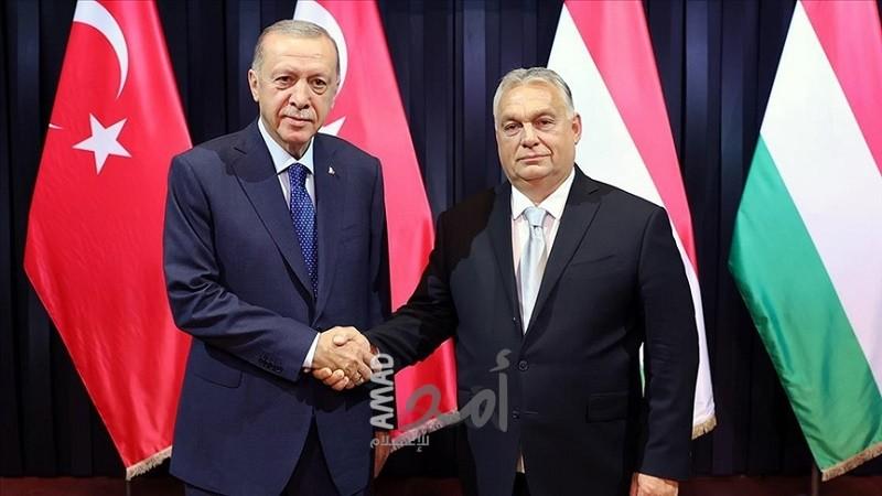 أردوغان ورئيس وزراء المجر يبحثان قضايا إقليمية وعالمية