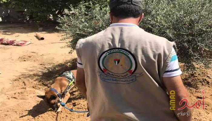 بالصور...باستخدام كلاب مدربة ... مكافحة رفح تعثر على مواد مخدرة