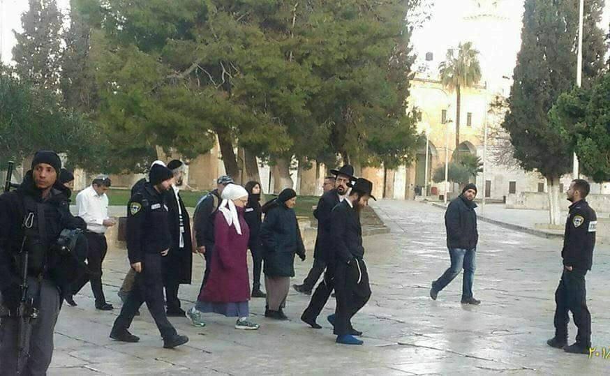المستوطنون يقتحمون المسجد الأقصى وسط حراسة مشددة من قوات الاحتلال