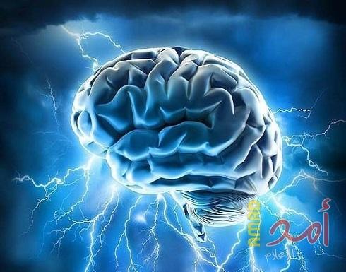 هل يرتبط الدماغ الأكبر حجما بالذكاء بالفعل؟