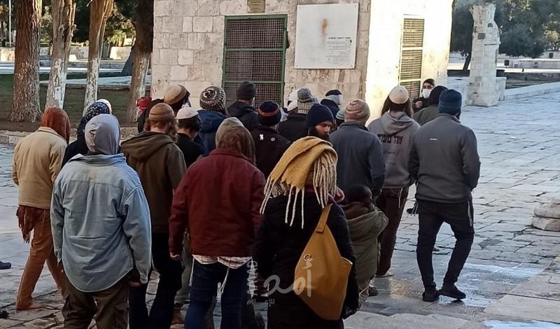 القدس: مستوطنون يقتحمون ساحات المسجد الأقصى