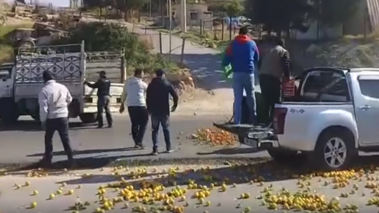 صحيفة: أردنيون يلقون بحمضياتهم في الشارع احتجاجا على تدفق منافساتها السورية