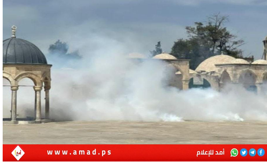 القدس: مواجهات مع قوات الاحتلال في "الأقصى" وسقوط عشرات الإصابات - فيديو