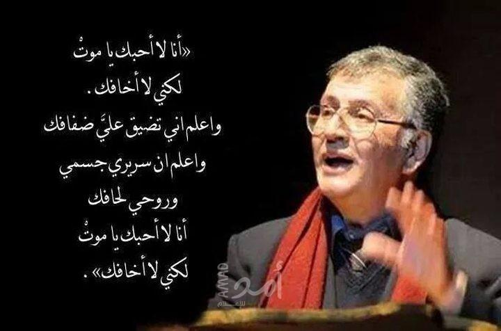 في ذكراه الخامسة.. سميح القاسم شاعر الأبجديّة الأبديّة
