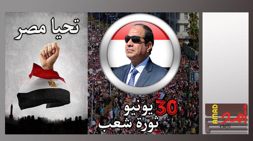 الى شعب مصر وجيشها في ذكرى ثورة 30 يونيو - تسلم الآيادي