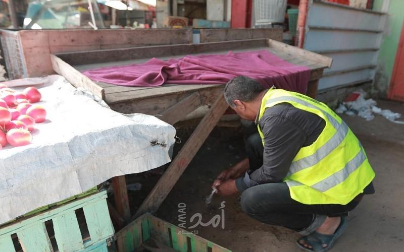 بلدية غزة: الصحة الوقائية توزع 1050 باكو من الطعوم لمكافحة القوارض الضارة