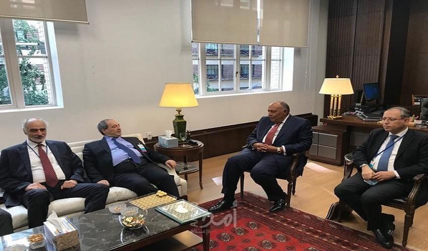شكري يبحث مع فيصل المقداد سبل إنهاء الأزمة السورية