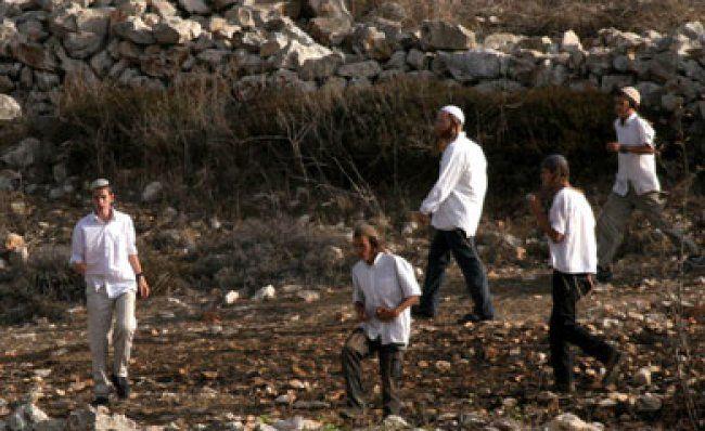 مستوطنون يهاجمون قرية "التوانة" جنوب الخليل