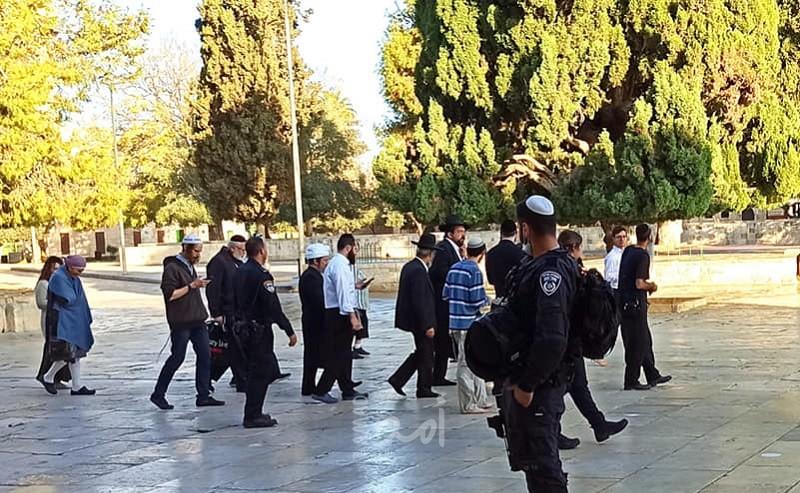 القدس: مستوطنون يقتحمون ساحات "المسجد الأقصى"