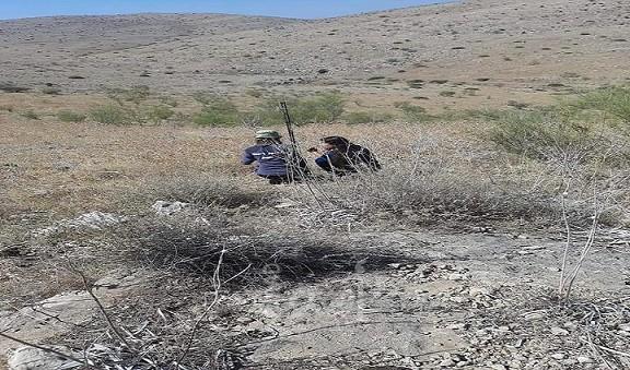 محدث.. اعتداءات المستوطنين تستهدف أراضي المواطنين في نابلس والخليل