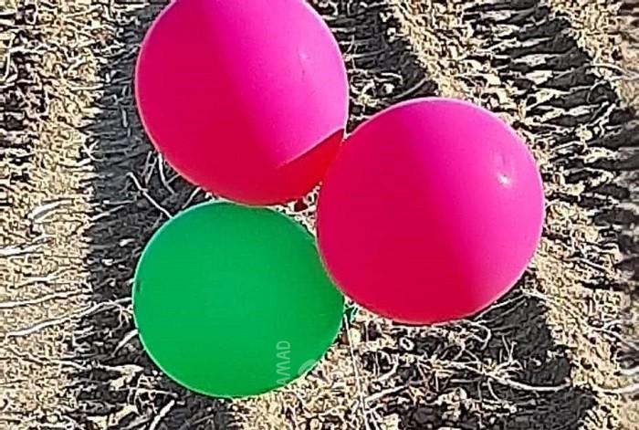 محدث (3).. اندلاع  حرائق في أحراش بلدات إسرائيلية بفعل بالونات حارقة أطلقت من غزة
