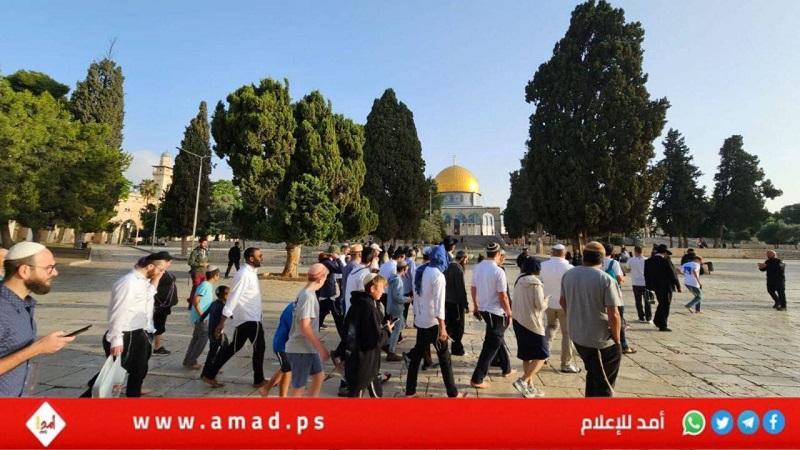 القدس: مستوطنون إرهابيون يقتحمون "الأقصى"