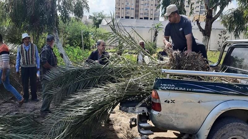 زراعة غزة وجمعية الرحمة تواصلان توزع أشجار نخيل على المزارعين