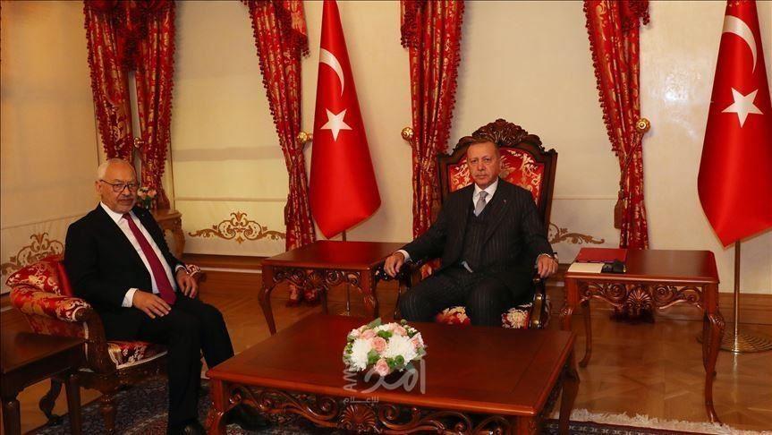 بعد الصفعة البرلمانية وتطورات ليبيا...أردوغان يلتقي رئيس النهضة التونسية الغنوشي
