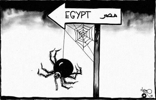 عنكبوت مصر
