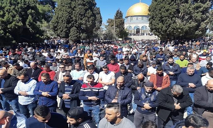 23 ألف مصل يؤدون صلاة الجمعة في رحاب الأقصى