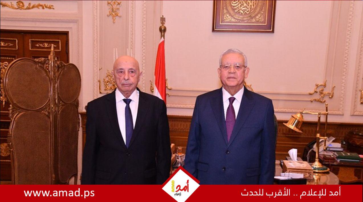 ليبيا.. الاتفاق على التوصل لقاعدة دستورية لإجراء الانتخابات قريبا
