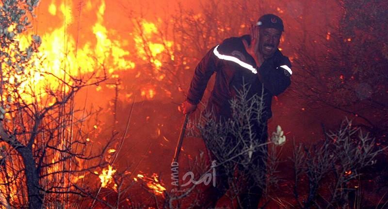 الجزائر: السيطرة على 20 حريق غابات في ولاية بجاية
